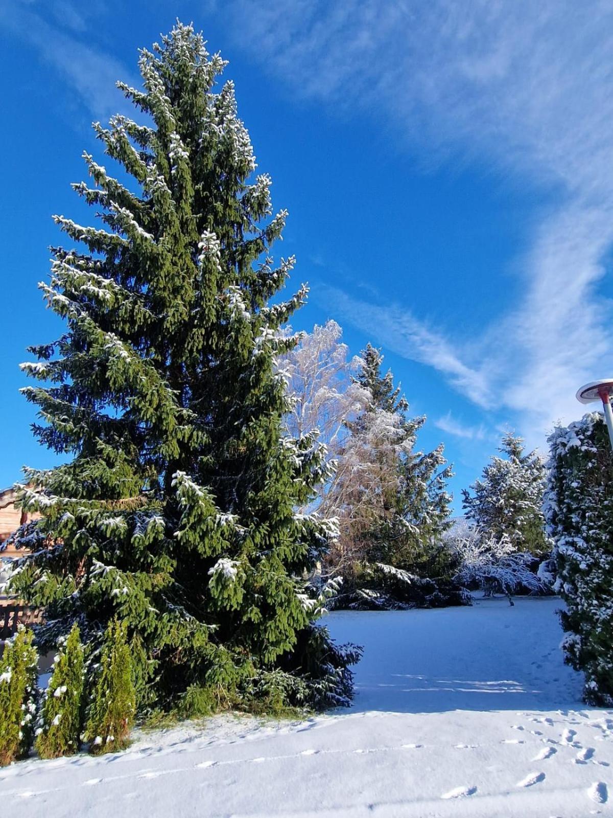 Chaleureux Au Coeur Du Massif Du Jura Chalet